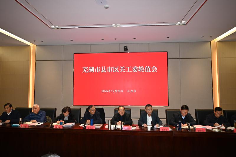 美彩国际2025年下半年轮值会在无为市政府综治中心会议室召开
